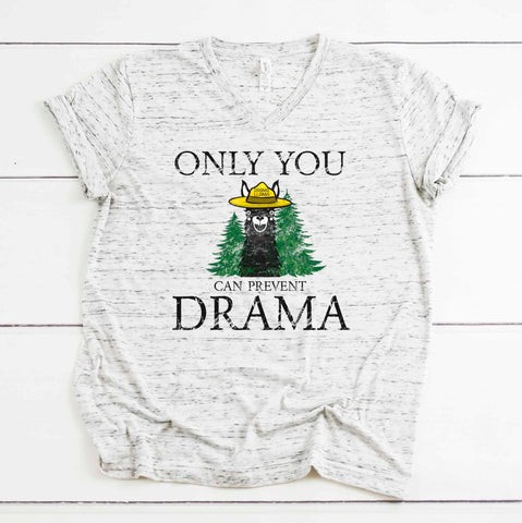 Only you can prevent drama -- Drama Llama T-shirt