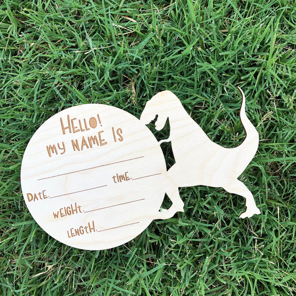 Birth Announcement Sign, Newborn Birth Stats Sign, Newborn Photo Prop, Dinosaur Nursery Decor - Baby Announcement - Baby Shower Gift - Baby